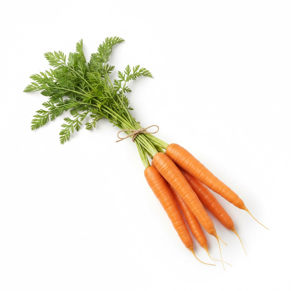 Carottes