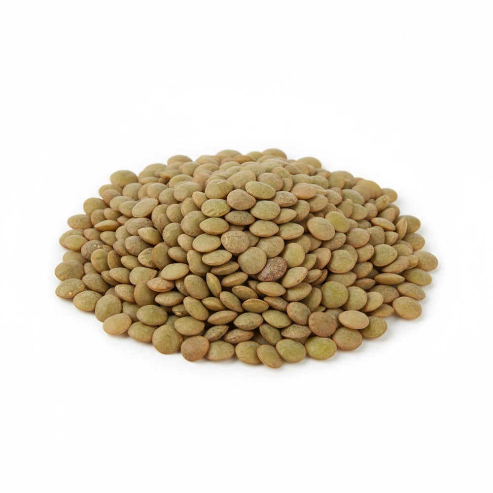 Lentilles vertes 500 g